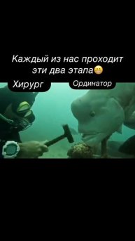 Любопытный ассистент