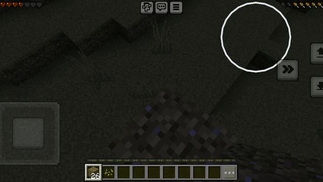 XRecorder_20250505_02.mp4