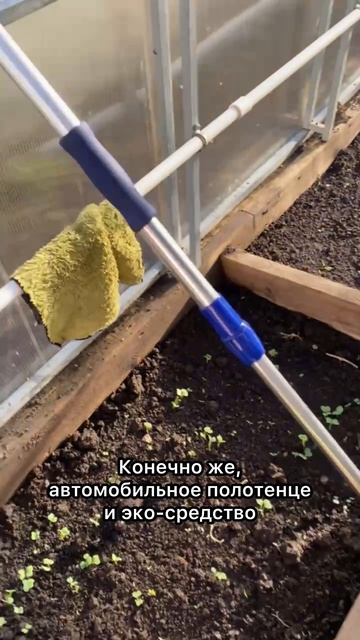 Где взять таких же потрясающих помощников👇