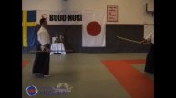 12 Aikido Jo Tai Ken Yokomen Uchi Kotegaeshi Shishiya Sensei 2003