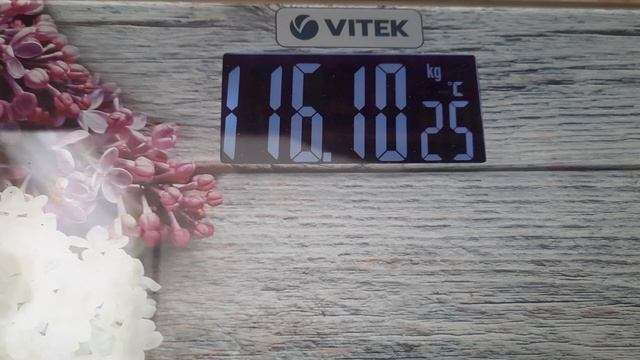 максимальный вес на сегодня,5 мая,2025