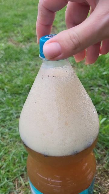 🍺 Натуральный квас на берёзовом соке.
Делали сами. Вкус отличный 👍