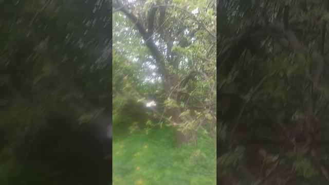 родовое гнездо или мой косяк
