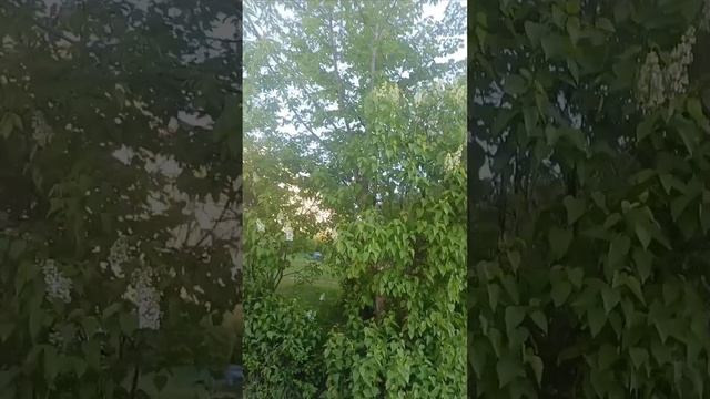 По дороге на работу...