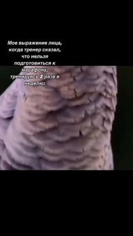 -2051119247392126416