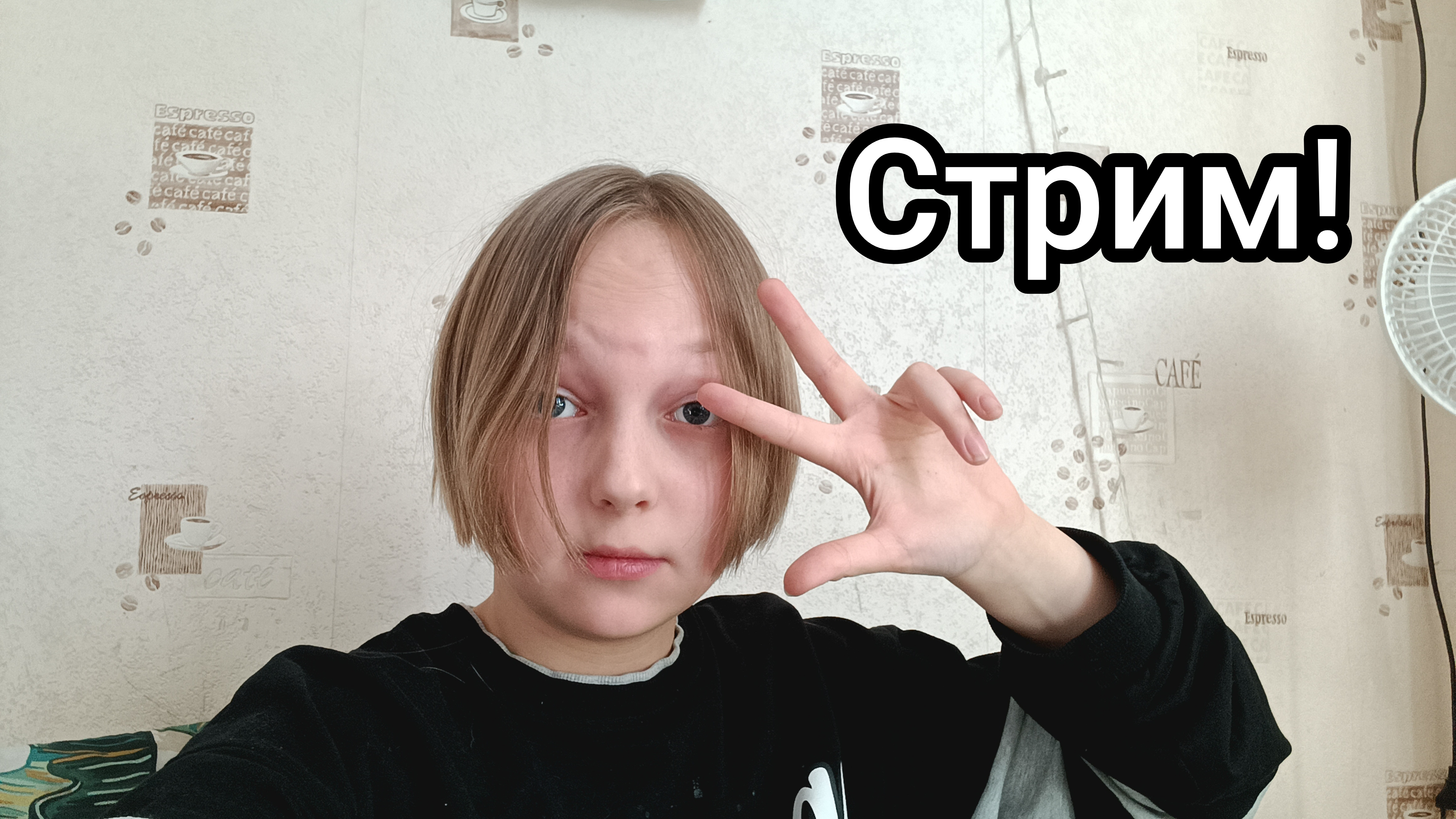 Первый стрим!