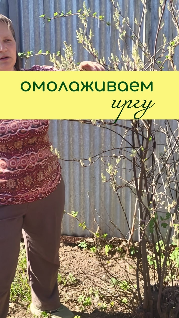 Омолаживаем ИРГУ