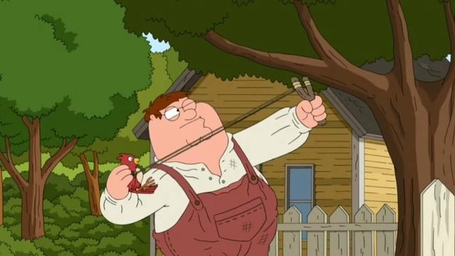 Энгри Бёрдс в реальности #прикол #Гриффины #мульт