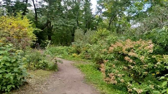Поход в Барнаульский дендрарий, сбор семян в сенятбре