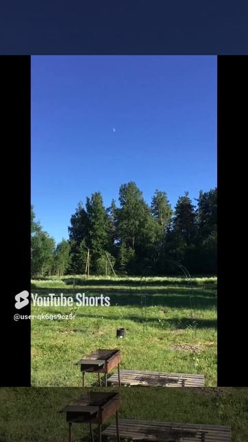 Лето.15.06.2024. Погода. Ленобласть. Хвойное. Чудесный солнечный день. На небе ни облачка. Луна.