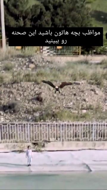video_2025-05-04_00-42-10