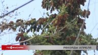 Несколько погодных рекордов уже зафиксированы этой весной в Иркутской области