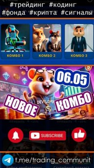 Шифр и комбо в хомяке 6 мая GameDev