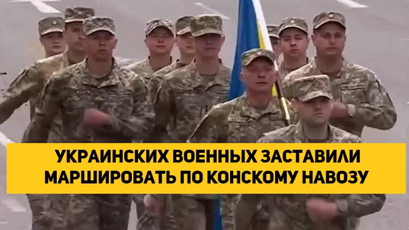 в Лондоне украинских военных заставили маршировать по конскому навозу