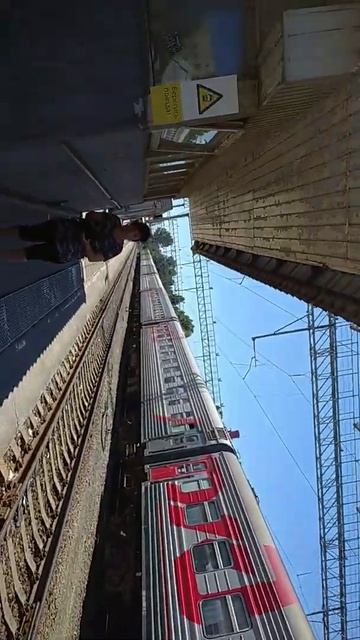 Пересадка в Саратове
