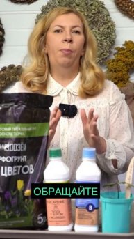 Покупка качественного грунта - советы от экспертов! 🏆