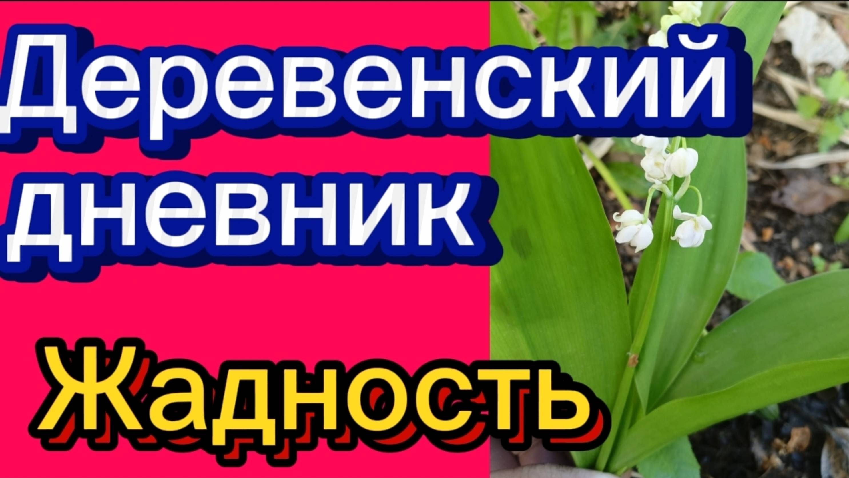 ДЕРЕВЕНСКИЙ ДНЕВНИК. "ЖАДНОСТЬ"