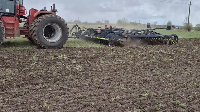 5 шагов для идеального урожая