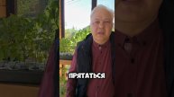 Сними зимнюю шапку