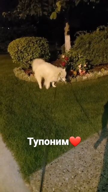 29 августа 2022 г.