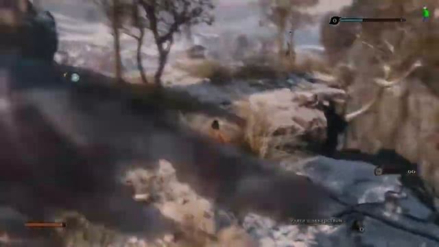 NG играет в Sekiro:Bebra Die Twice