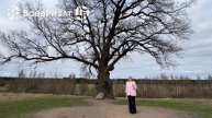 ☀️В преддверии 80-летия Великой Победы продолжаем публтковать видео, посвященные памятным местам