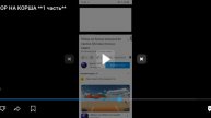 Обзор на понос24к #Чикенган #ден19к #чалоэппс #жура24к
