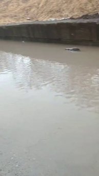 На СРВ только в обход ходить))