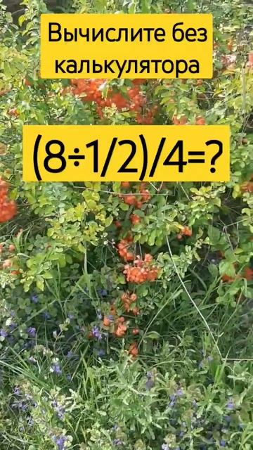 Вычислите без калькулятора#математика#rompecabeza#mathematicalpuz