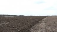 Работа в поле: ход посевной в ОАО "Добрица"