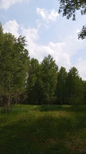 06.05.2025 #сегоднятак #сегодня #природа #nature #oggicosì #бүгін #oggi #hoy #今日 #today #오늘 #자연 #自然