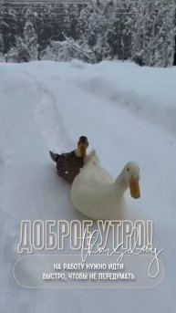 😆😅