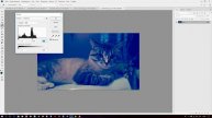 Исправление и настройка баланса белого в Photoshop CC 2018