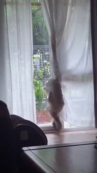 🤪Просто у меня кость широкая