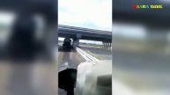 Разные приколы. Тигр охотится.