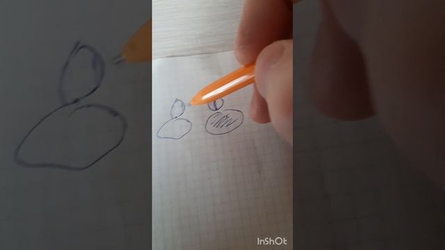 ПроЗдоровье.Операция на верхнечельстной пазухе.Фильм1 .mp4