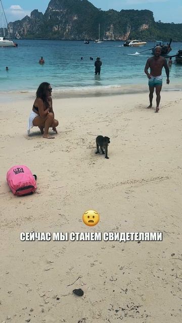 Расследование