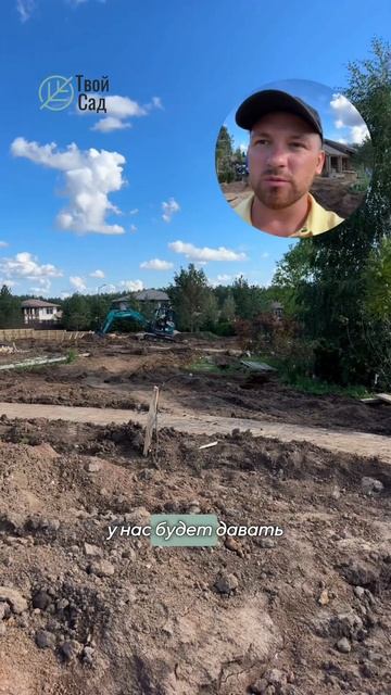 Одна из самых больших сосен на участке #ландшафтныйди?