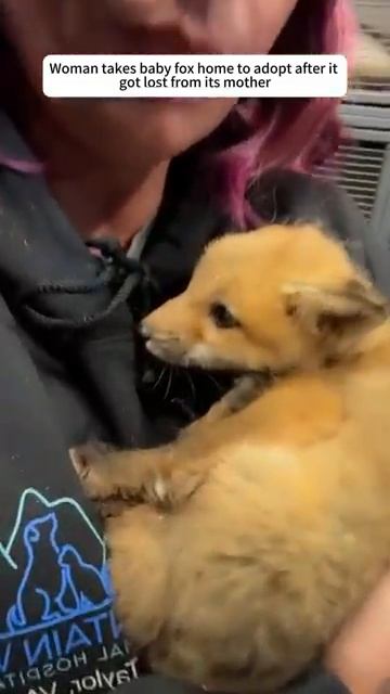 Мир не без добрых людей !