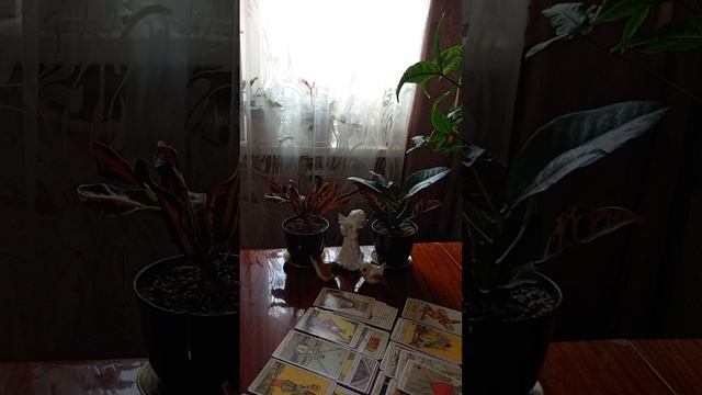 Таро.События сегодняшнего дня.