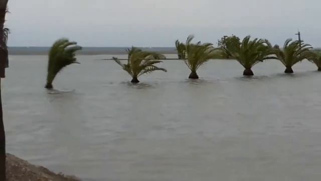 Затоп и в ашане все по евро.