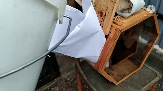 Стеклянный улей. Спасаем пчёл. Усиление семьи (bee.)