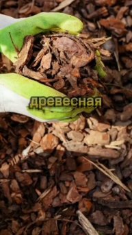 Основные органические виды мульчи #изгородавдеревню #