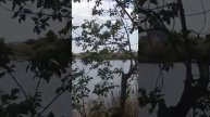 Прогулка по парку 16 мая сего года