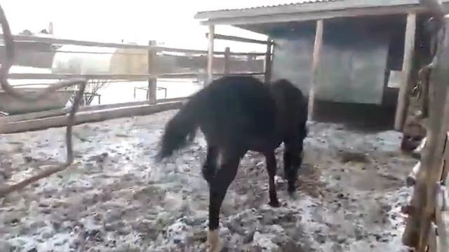16 ноября 2020 г.