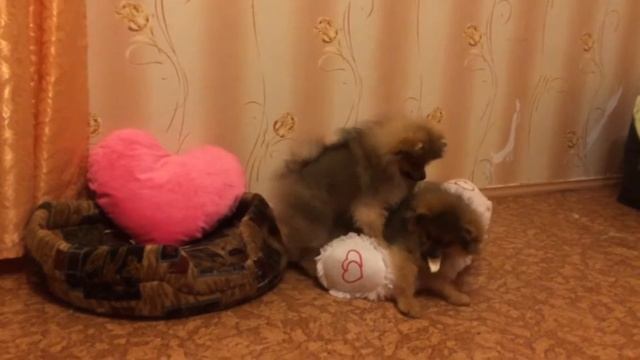 22 июня 2016 г.