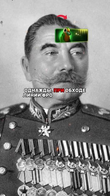 ПОЧЕМУ СТАЛИН ЗАПРЕТИЛ БУДЕННОМУ БРИТЬ УСЫ?!😨
