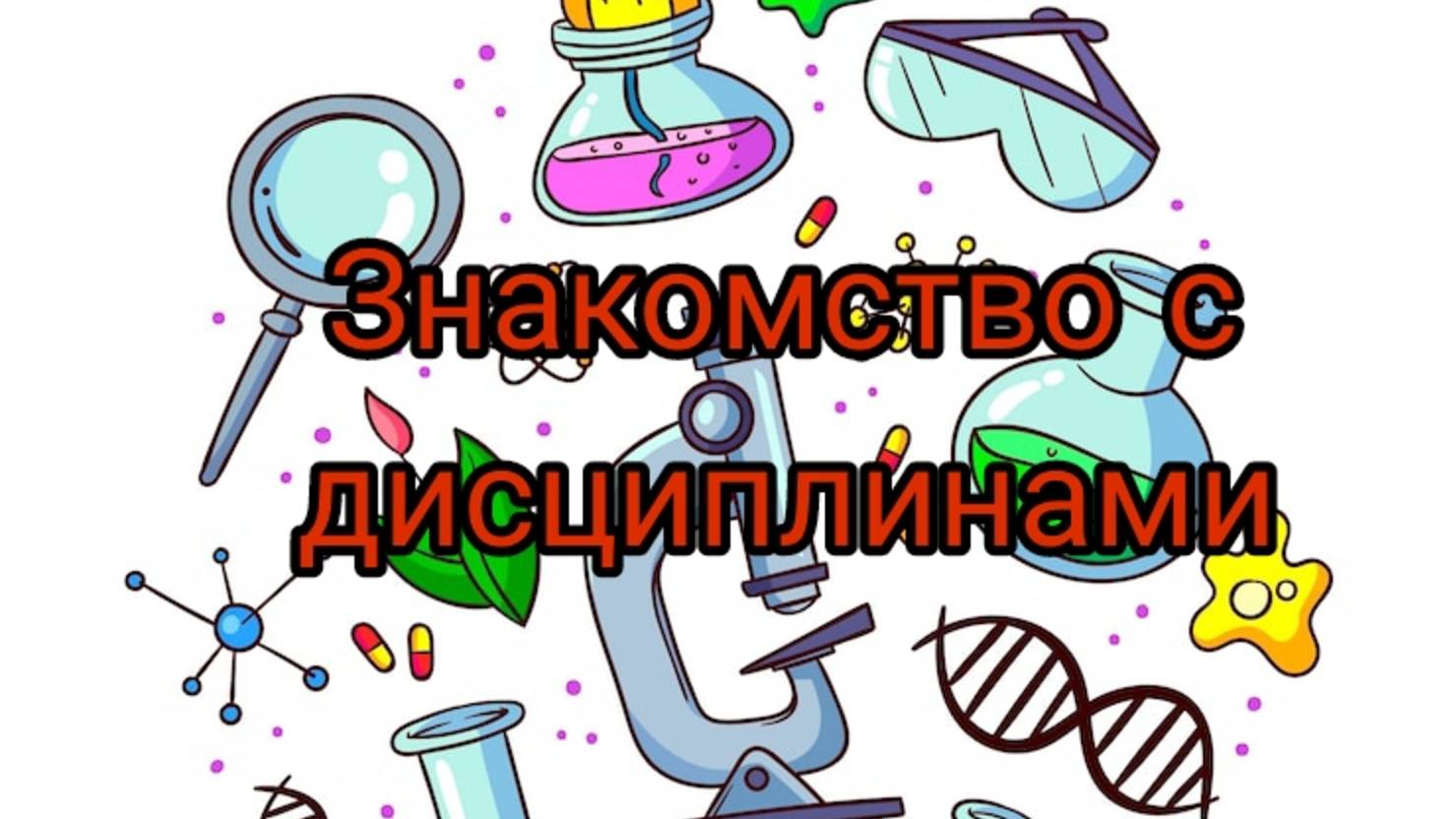 Знакомство со мной и дисциплинами
