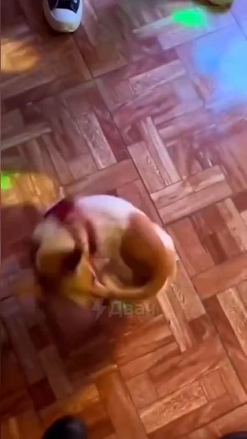 Не забудь подписаться, что бы не потерять!