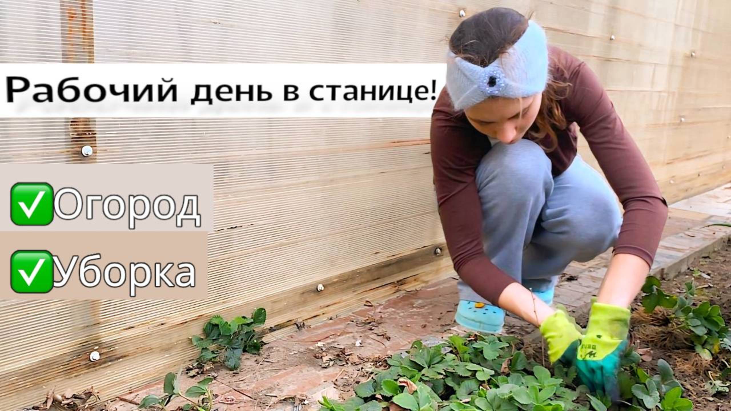 Приехала ПОМОЧЬ БАБУШКЕ! Что стало с ОГОРОДОМ и ДОМОМ? ПОЧИНИЛИ МАШИНУ БЕЗ МАСТЕРА какие у нас планы